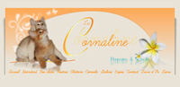 La Cornaline